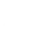 Ampol fuel logo
